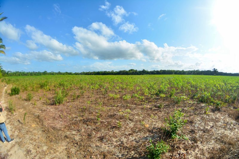  <div class='credito_fotos'>Foto: Divulgação / Agência Pará   |   <a href='/midias/2024/originais/18101_d0521eb9-4fe5-d914-a3a9-f96f3cef2dc7.jpg' download><i class='fa-solid fa-download'></i> Download</a></div>