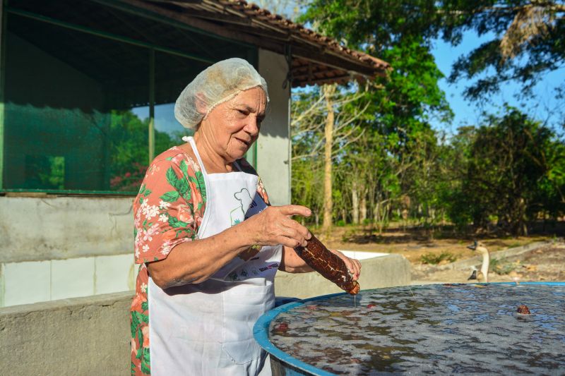  <div class='credito_fotos'>Foto: Divulgação / Agência Pará   |   <a href='/midias/2024/originais/18101_e1cb8c62-602f-6311-632a-71aff4fc91ee.jpg' download><i class='fa-solid fa-download'></i> Download</a></div>