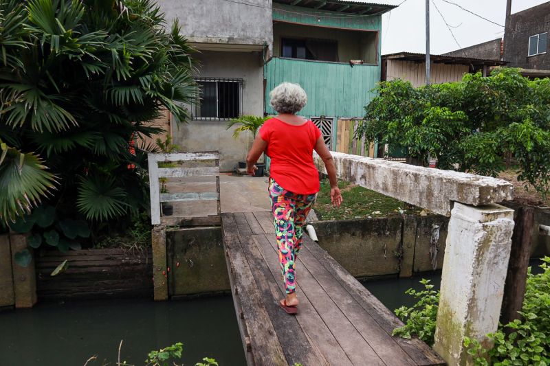  <div class='credito_fotos'>Foto: Alex Ribeiro / Ag. Pará   |   <a href='/midias/2024/originais/18233_7f22d600-9c47-db6c-379a-5e735d26683b.jpg' download><i class='fa-solid fa-download'></i> Download</a></div>