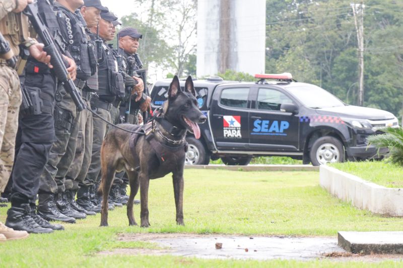  <div class='credito_fotos'>Foto: Pedro Guerreiro / Ag. Pará   |   <a href='/midias/2024/originais/18249_20eccd8b-5485-8a8e-3113-10a9d26db3c7.jpg' download><i class='fa-solid fa-download'></i> Download</a></div>