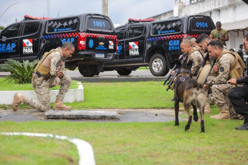  <div class='credito_fotos'>Foto: Pedro Guerreiro / Ag. Pará   |   <a href='/midias/2024/originais/18249_896c3148-c8f0-e73a-16de-f01bdbe0119a.jpg' download><i class='fa-solid fa-download'></i> Download</a></div>