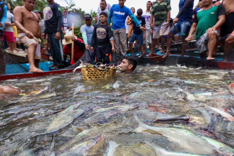  <div class='credito_fotos'>Foto: Alex Ribeiro / Ag. Pará   |   <a href='/midias/2024/originais/18428_21d5ef91-e068-6ad0-b441-c4e495daf28e.jpg' download><i class='fa-solid fa-download'></i> Download</a></div>