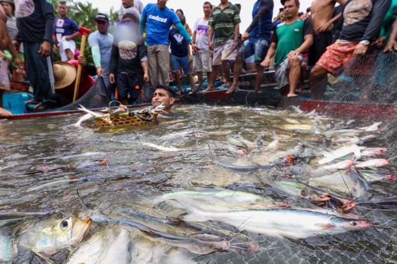  <div class='credito_fotos'>Foto: Alex Ribeiro / Ag. Pará   |   <a href='/midias/2024/originais/18428_78bacf71-91c0-d255-0726-12dee91ef18a.jpg' download><i class='fa-solid fa-download'></i> Download</a></div>