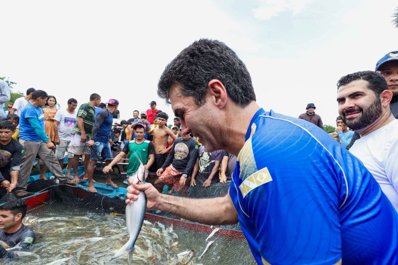  <div class='credito_fotos'>Foto: Alex Ribeiro / Ag. Pará   |   <a href='/midias/2024/originais/18428_afa79976-8c09-2dbf-df10-6eda2ed0cd01.jpg' download><i class='fa-solid fa-download'></i> Download</a></div>