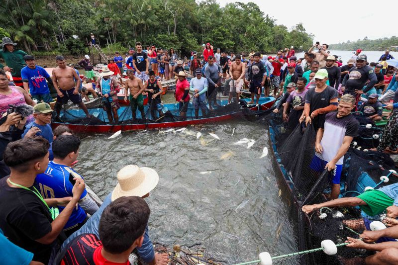  <div class='credito_fotos'>Foto: Alex Ribeiro / Ag. Pará   |   <a href='/midias/2024/originais/18428_cc7c1e2c-9472-e43b-89c5-80d02b38f606.jpg' download><i class='fa-solid fa-download'></i> Download</a></div>