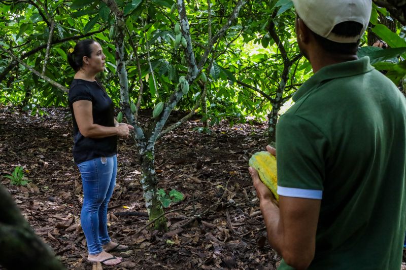  <div class='credito_fotos'>Foto: Pedro Guerreiro / Ag. Pará   |   <a href='/midias/2024/originais/18609_24b152db-d724-9756-9133-b14b94b9339a.jpg' download><i class='fa-solid fa-download'></i> Download</a></div>