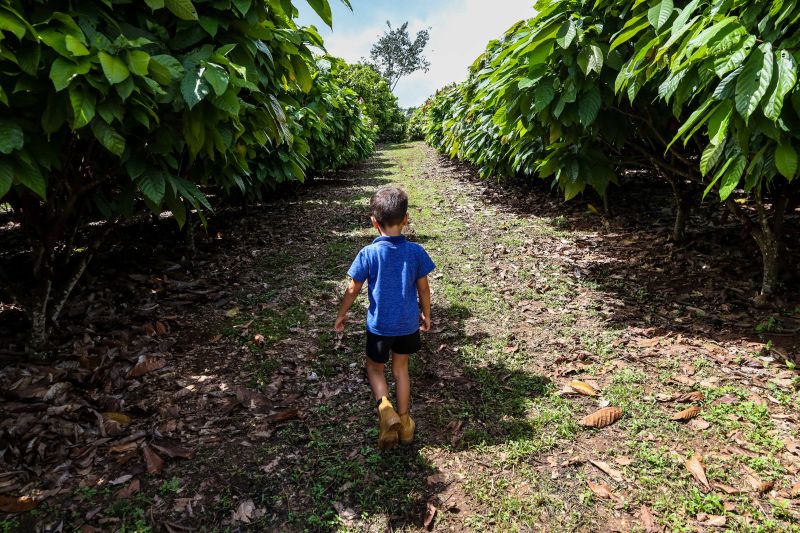  <div class='credito_fotos'>Foto: Pedro Guerreiro / Ag. Pará   |   <a href='/midias/2024/originais/18609_5f6d1dc1-a1c1-9c6d-8f1d-7baf5afd1885.jpg' download><i class='fa-solid fa-download'></i> Download</a></div>