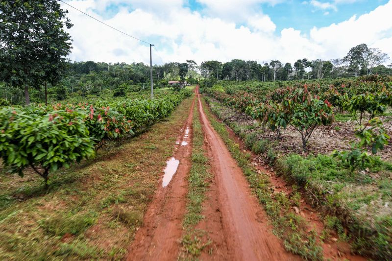  <div class='credito_fotos'>Foto: Pedro Guerreiro / Ag. Pará   |   <a href='/midias/2024/originais/18609_65b46ffa-7fc2-68e9-cd4d-e45634dcc51b.jpg' download><i class='fa-solid fa-download'></i> Download</a></div>