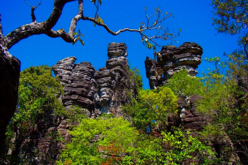 Parque Estadual da Serra dos Martírios