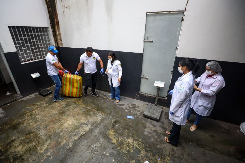  <div class='credito_fotos'>Foto: Marcelo Lelis / Ag. Pará   |   <a href='/midias/2024/originais/18723_51ce0a3f-afd9-792e-7ccf-8b8f7878a62d.jpg' download><i class='fa-solid fa-download'></i> Download</a></div>