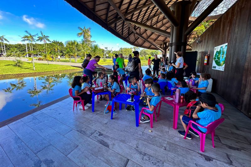  <div class='credito_fotos'>Foto: Vinícius Leal / Ascom Ideflor-Bio   |   <a href='/midias/2024/originais/18844_0fb23fc2-e045-6d24-b5ae-bc21afaf3f02.jpg' download><i class='fa-solid fa-download'></i> Download</a></div>