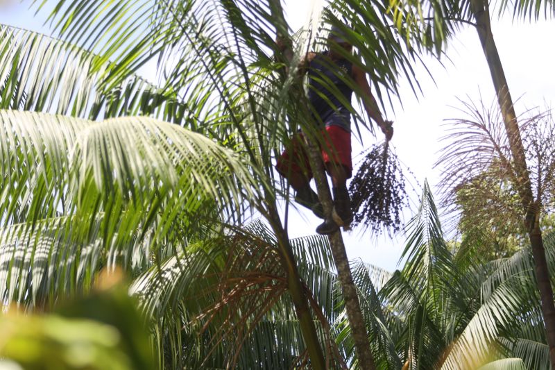  <div class='credito_fotos'>Foto: Pedro Guerreiro / Ag. Pará   |   <a href='/midias/2024/originais/18890_70c733ba-5ea0-4783-c33e-716cdb7d02c8.jpg' download><i class='fa-solid fa-download'></i> Download</a></div>