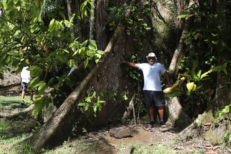  <div class='credito_fotos'>Foto: Pedro Guerreiro / Ag. Pará   |   <a href='/midias/2024/originais/18890_cee60920-49aa-ba81-36aa-602433c4bc46.jpg' download><i class='fa-solid fa-download'></i> Download</a></div>