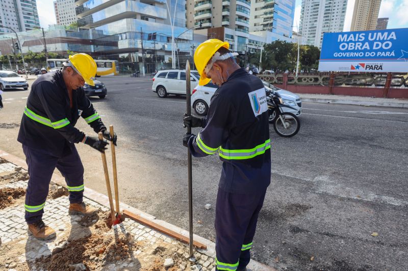  <div class='credito_fotos'>Foto: Bruno Cecim / Ag.Pará   |   <a href='/midias/2024/originais/18908_578d033f-77e4-b689-2c7b-0b27e9df84eb.jpg' download><i class='fa-solid fa-download'></i> Download</a></div>