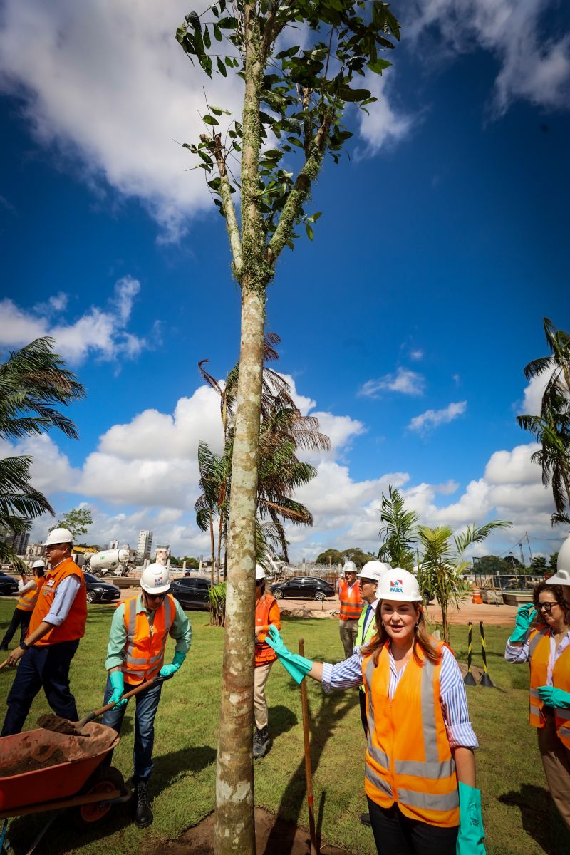  <div class='credito_fotos'>Foto: Bruno Cecim / Ag.Pará   |   <a href='/midias/2024/originais/19978_04793913-65af-d927-b7c0-5dc9584d3a79.jpg' download><i class='fa-solid fa-download'></i> Download</a></div>