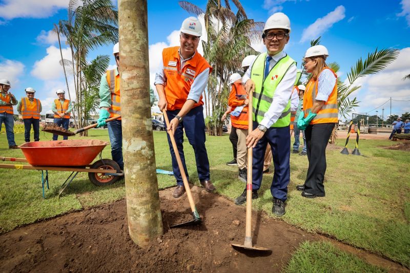  <div class='credito_fotos'>Foto: Bruno Cecim / Ag.Pará   |   <a href='/midias/2024/originais/19978_10194bcb-57dc-62b1-d12b-eba73f9d6d73.jpg' download><i class='fa-solid fa-download'></i> Download</a></div>