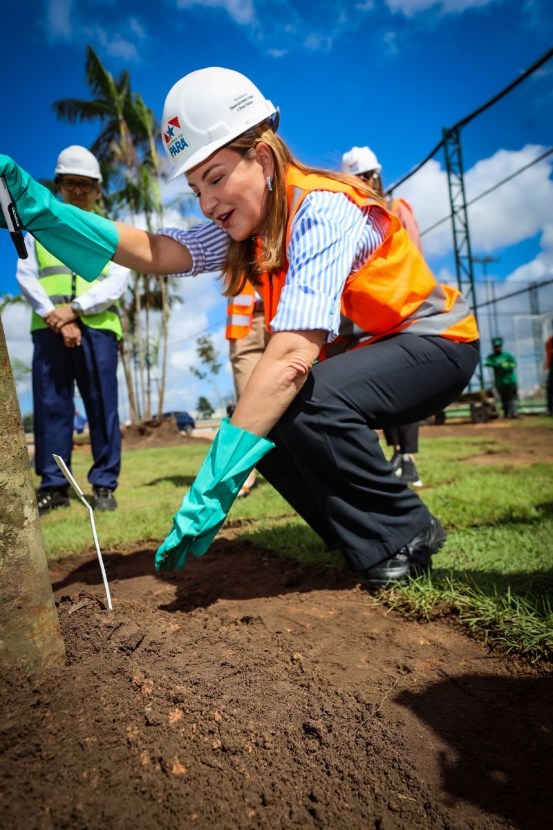  <div class='credito_fotos'>Foto: Bruno Cecim / Ag.Pará   |   <a href='/midias/2024/originais/19978_505f2926-2915-3fa0-e2ea-b146282225e1.jpg' download><i class='fa-solid fa-download'></i> Download</a></div>