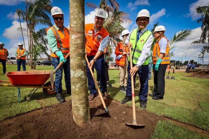  <div class='credito_fotos'>Foto: Bruno Cecim / Ag.Pará   |   <a href='/midias/2024/originais/19978_68c6698d-9541-8e8b-8047-2dce67a2c2d5.jpg' download><i class='fa-solid fa-download'></i> Download</a></div>