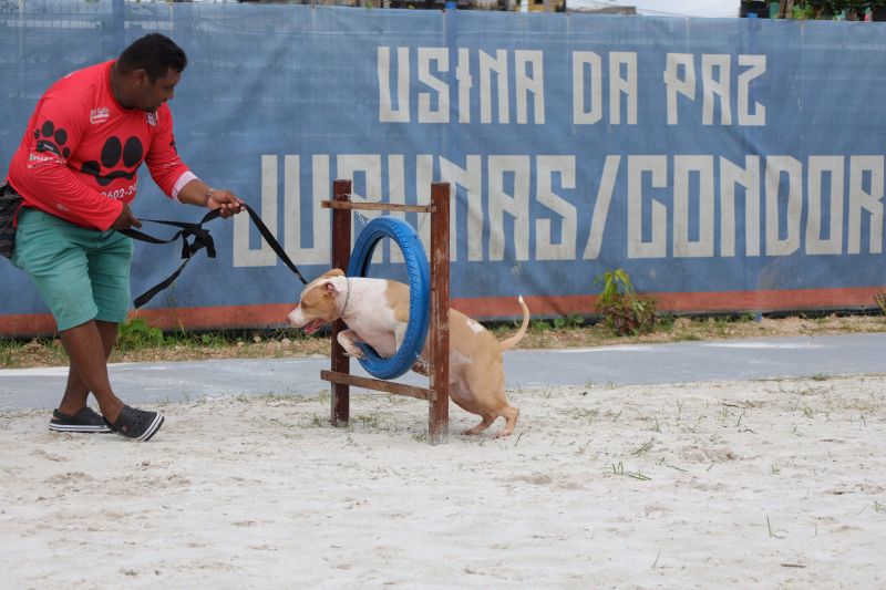  <div class='credito_fotos'>Foto: Pedro Guerreiro / Ag. Pará   |   <a href='/midias/2024/originais/20023_42965662-1b66-5778-36b4-112fb38a28f4.jpg' download><i class='fa-solid fa-download'></i> Download</a></div>