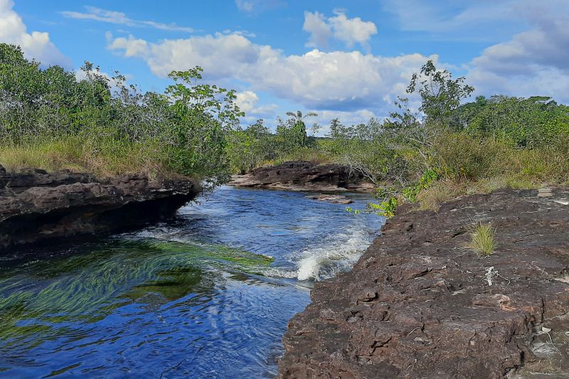  <div class='credito_fotos'>Foto: Agência Pará   |   <a href='/midias/2024/originais/20029_9379e3a9-0f0e-38db-af18-c06a8fea23d9.jpg' download><i class='fa-solid fa-download'></i> Download</a></div>