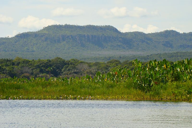  <div class='credito_fotos'>Foto: Agência Pará   |   <a href='/midias/2024/originais/20029_da579f0d-5416-c4b1-1515-4b687848eeac.jpg' download><i class='fa-solid fa-download'></i> Download</a></div>