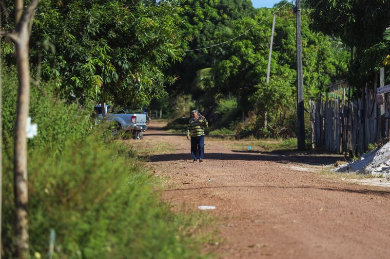  <div class='credito_fotos'>Foto: Rodrigo Pinheiro / Ag.Pará   |   <a href='/midias/2024/originais/20186_7b2a71e4-bf0b-ce70-80c2-0d517244b3c9.jpg' download><i class='fa-solid fa-download'></i> Download</a></div>