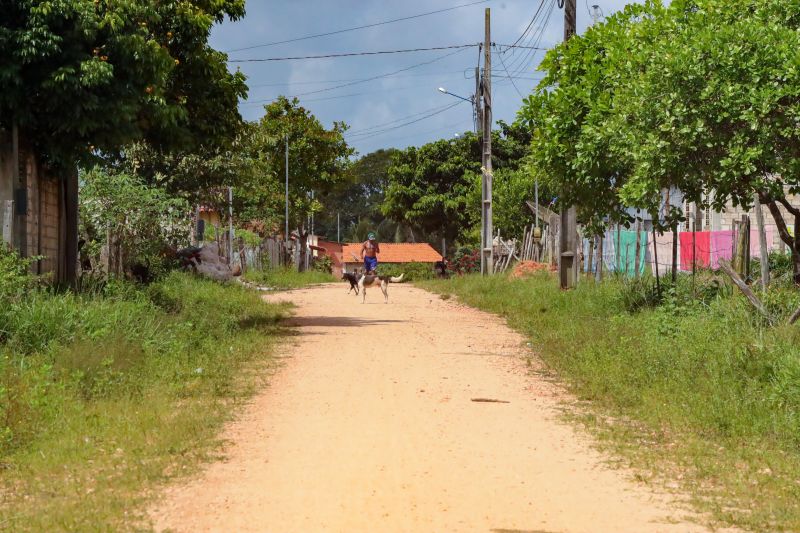  <div class='credito_fotos'>Foto: Bruno Cruz / Agência Pará   |   <a href='/midias/2024/originais/20329_c99ee7b1-98a3-1bfb-5c21-8bc51ef82ba6.jpg' download><i class='fa-solid fa-download'></i> Download</a></div>