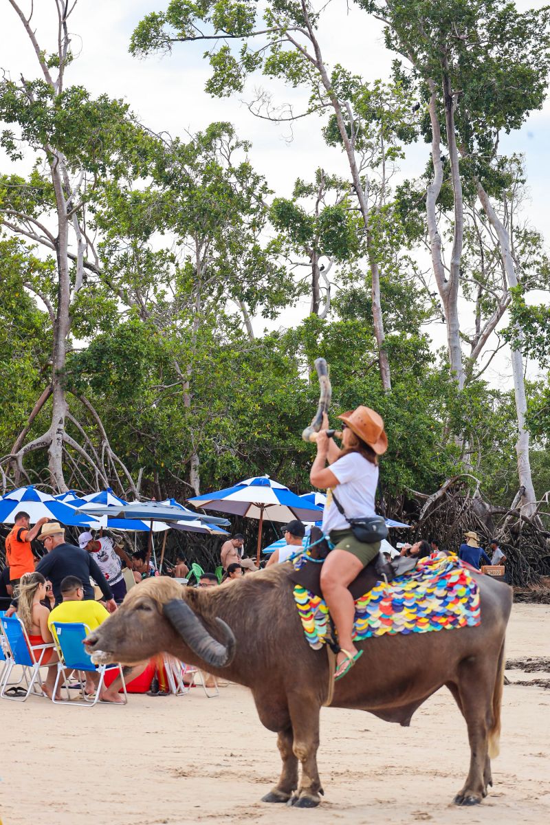 <div class='credito_fotos'>Foto: Bruno Cecim / Ag.Pará | <a href='/midias/2024/originais/20450_55829496-04a5-8c91-28d7-9864aaba3556.jpg' download><i class='fa-solid fa-download'></i> Download</a></div>