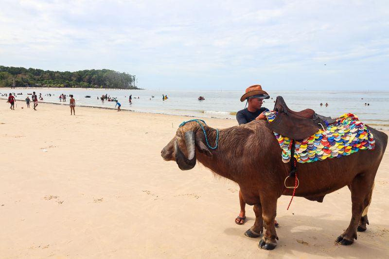 <div class='credito_fotos'>Foto: Bruno Cecim / Ag.Pará | <a href='/midias/2024/originais/20450_65b6a7d3-6cbf-616e-0fc1-2e6b8e610510.jpg' download><i class='fa-solid fa-download'></i> Download</a></div>