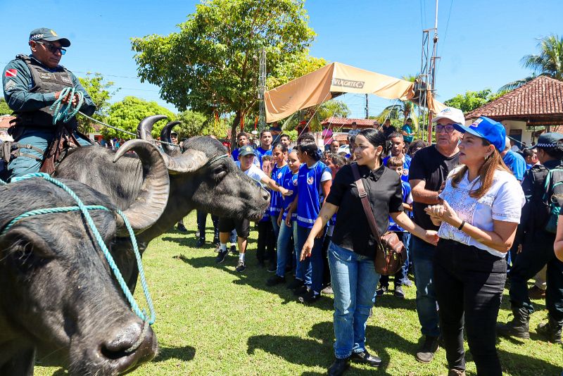 <div class='credito_fotos'>Foto: Bruno Cecim / Ag.Pará | <a href='/midias/2024/originais/20452_5a67a60e-3ac3-b529-bf83-6ccd0a1dd1cd.jpg' download><i class='fa-solid fa-download'></i> Download</a></div>