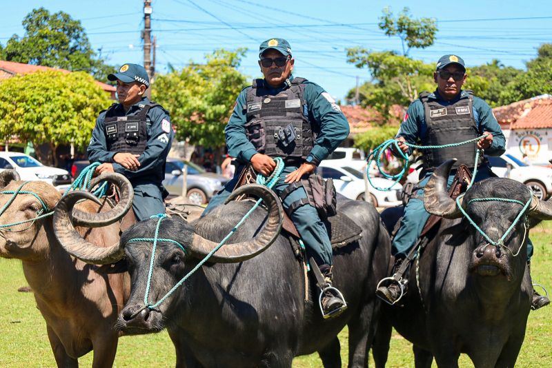 <div class='credito_fotos'>Foto: Bruno Cecim / Ag.Pará | <a href='/midias/2024/originais/20452_8bd46687-85e7-5aa2-f87a-f5c433eb08af.jpg' download><i class='fa-solid fa-download'></i> Download</a></div>