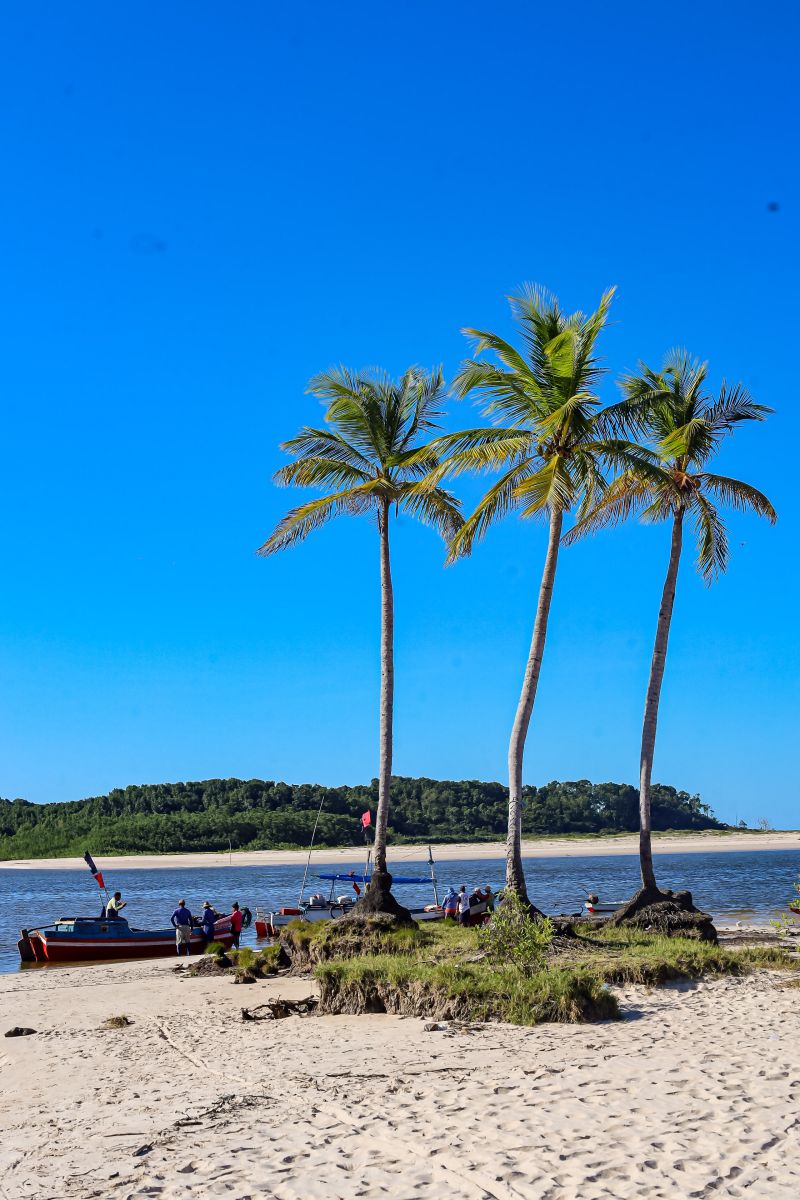 <div class='credito_fotos'>Foto: Bruno Cecim / Ag.Pará | <a href='/midias/2024/originais/20459_04a588ea-a234-494e-8a6b-9d0007438e2c.jpg' download><i class='fa-solid fa-download'></i> Download</a></div>
