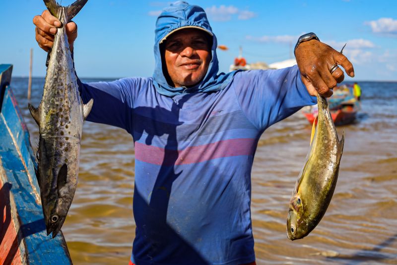 <div class='credito_fotos'>Foto: Bruno Cecim / Ag.Pará | <a href='/midias/2024/originais/20459_194fc6c5-2baa-4a0b-b2dc-235ffccd4b20.jpg' download><i class='fa-solid fa-download'></i> Download</a></div>