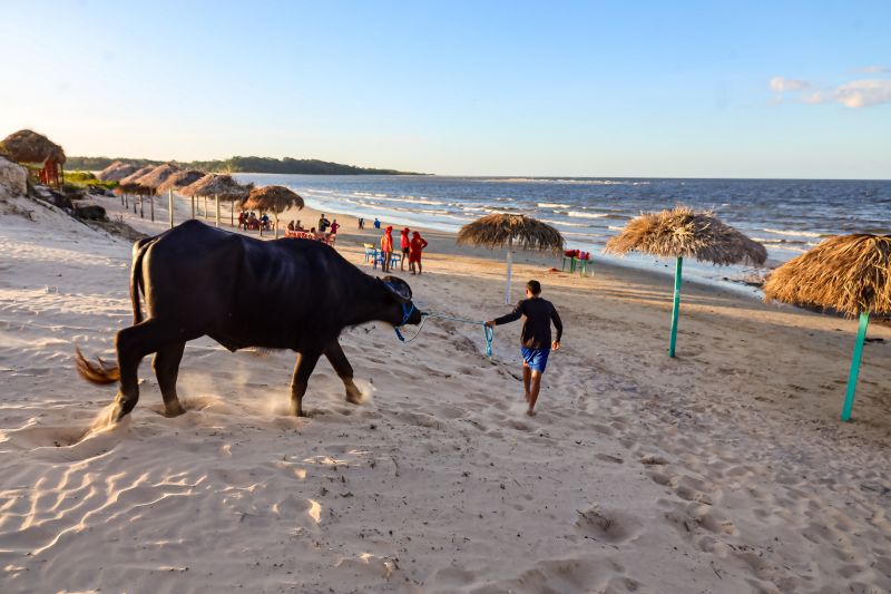 <div class='credito_fotos'>Foto: Bruno Cecim / Ag.Pará | <a href='/midias/2024/originais/20459_3a5efe86-031a-2e52-19b4-8eac13f95684.jpg' download><i class='fa-solid fa-download'></i> Download</a></div>