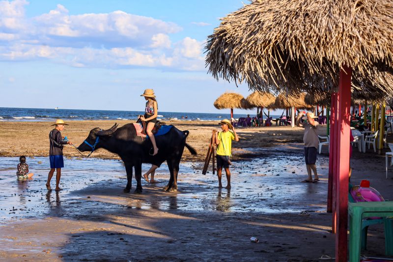 <div class='credito_fotos'>Foto: Bruno Cecim / Ag.Pará | <a href='/midias/2024/originais/20459_576b1794-c3dc-f826-f682-7bd4de59b986.jpg' download><i class='fa-solid fa-download'></i> Download</a></div>