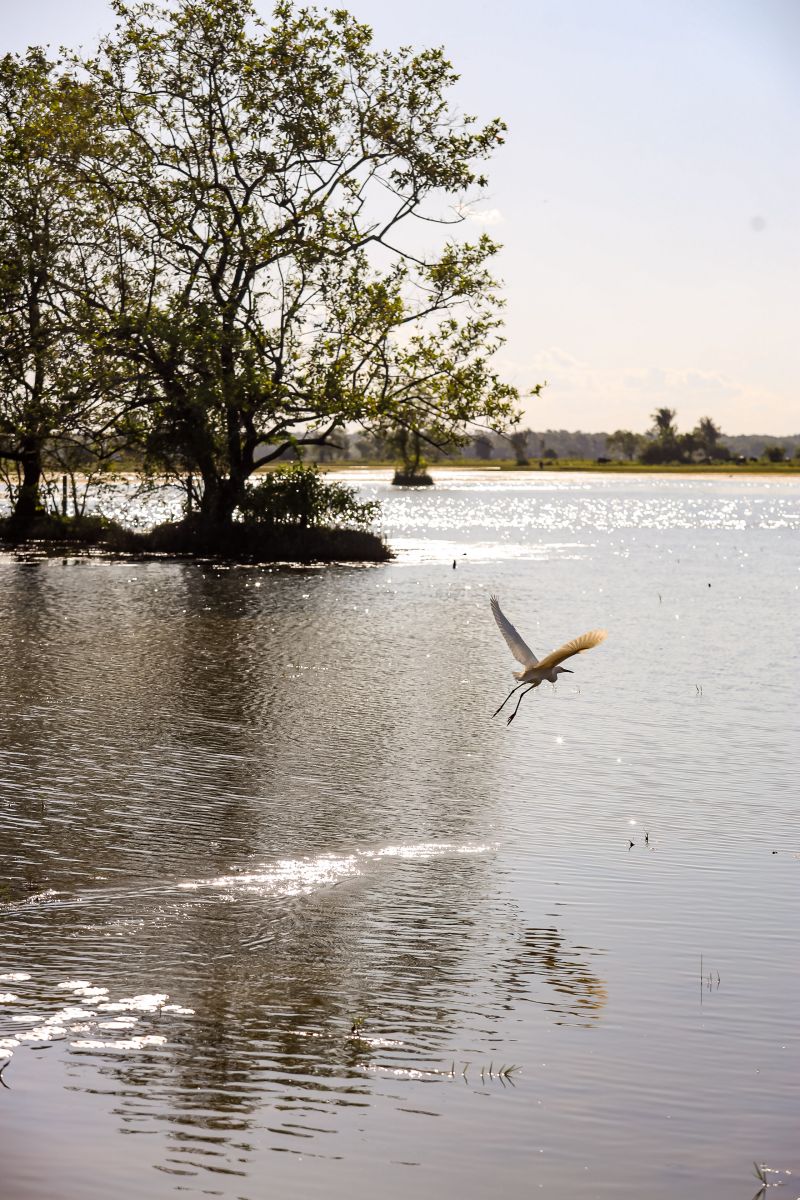 <div class='credito_fotos'>Foto: Bruno Cecim / Ag.Pará | <a href='/midias/2024/originais/20459_a38f57fd-cd9b-4786-3f72-e456b60cd406.jpg' download><i class='fa-solid fa-download'></i> Download</a></div>