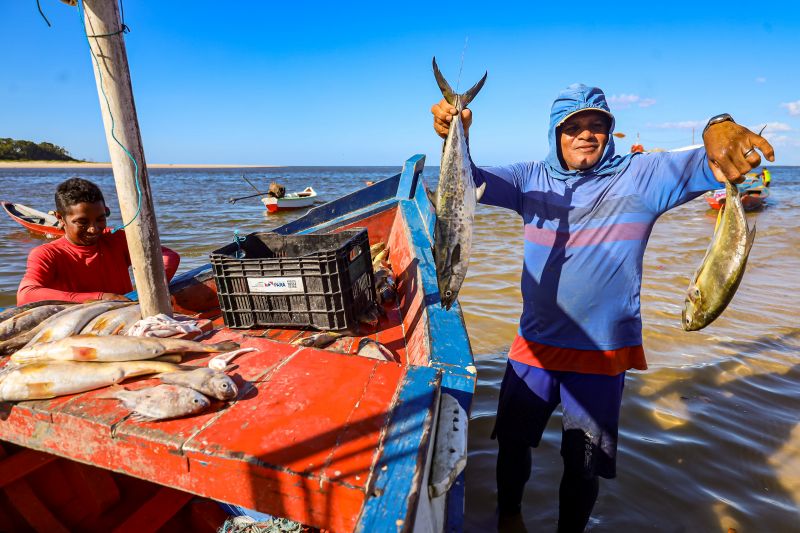 <div class='credito_fotos'>Foto: Bruno Cecim / Ag.Pará | <a href='/midias/2024/originais/20459_b8c7b54b-97b5-8b7d-2d62-9f30dd7e8999.jpg' download><i class='fa-solid fa-download'></i> Download</a></div>