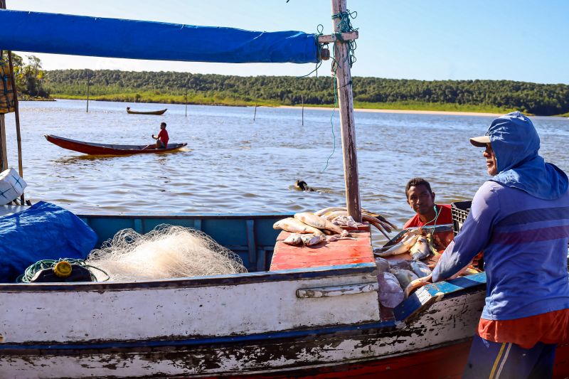 <div class='credito_fotos'>Foto: Bruno Cecim / Ag.Pará | <a href='/midias/2024/originais/20459_f8f21483-094c-bc98-15fc-0241c1441ac4.jpg' download><i class='fa-solid fa-download'></i> Download</a></div>
