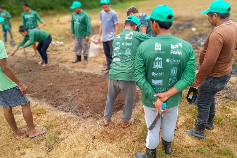 Matéria - Formação de agentes agroflorestais avança na Terra Indígena Alto Rio Guamá com foco em sustentabilidade

Fotos: DGBio/IDEFLOR-Bio/Divulgação


 <div class='credito_fotos'>Foto: ASCOM / IDEFLOR-BIO   |   <a href='/midias/2024/originais/20801_1a54380a-7909-6776-a521-6e1d1e8166a0.jpg' download><i class='fa-solid fa-download'></i> Download</a></div>