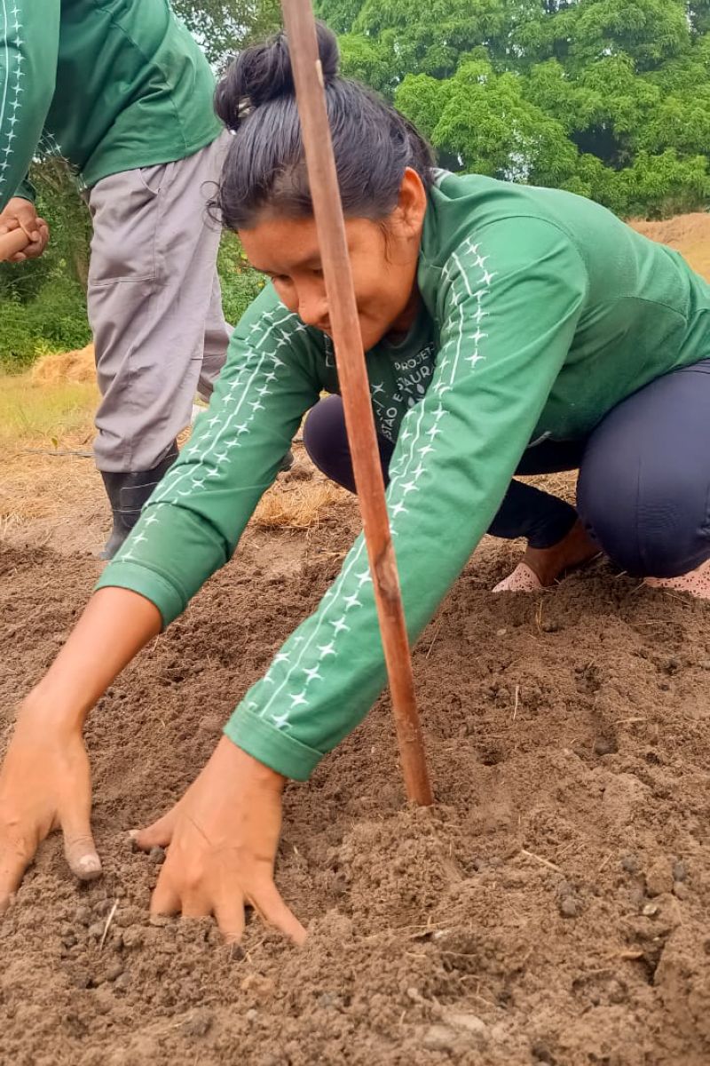 Matéria - Formação de agentes agroflorestais avança na Terra Indígena Alto Rio Guamá com foco em sustentabilidade

Fotos: DGBio/IDEFLOR-Bio/Divulgação


 <div class='credito_fotos'>Foto: ASCOM / IDEFLOR-BIO   |   <a href='/midias/2024/originais/20801_4cdd4d1d-3f47-7c7a-4944-7257a13c2aed.jpg' download><i class='fa-solid fa-download'></i> Download</a></div>