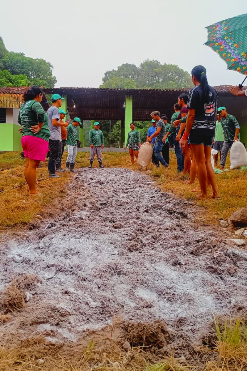 Matéria - Formação de agentes agroflorestais avança na Terra Indígena Alto Rio Guamá com foco em sustentabilidade

Fotos: DGBio/IDEFLOR-Bio/Divulgação


 <div class='credito_fotos'>Foto: ASCOM / IDEFLOR-BIO   |   <a href='/midias/2024/originais/20801_5521dd3e-2d1f-2a14-05ae-387fe5027ea0.jpg' download><i class='fa-solid fa-download'></i> Download</a></div>