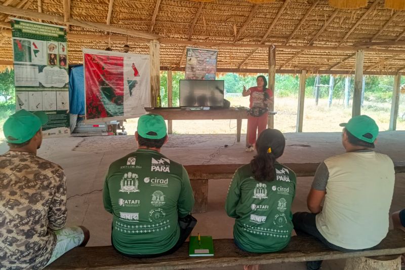 Matéria - Formação de agentes agroflorestais avança na Terra Indígena Alto Rio Guamá com foco em sustentabilidade

Fotos: DGBio/IDEFLOR-Bio/Divulgação


 <div class='credito_fotos'>Foto: ASCOM / IDEFLOR-BIO   |   <a href='/midias/2024/originais/20801_5d82da3c-ce84-8bf0-a2d5-ebc7d8f53cf4.jpg' download><i class='fa-solid fa-download'></i> Download</a></div>