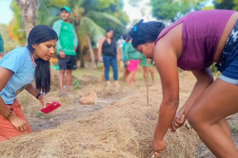 Matéria - Formação de agentes agroflorestais avança na Terra Indígena Alto Rio Guamá com foco em sustentabilidade

Fotos: DGBio/IDEFLOR-Bio/Divulgação


 <div class='credito_fotos'>Foto: ASCOM / IDEFLOR-BIO   |   <a href='/midias/2024/originais/20801_83832cf7-e1f1-4df5-2b4a-4b3b2d119a33.jpg' download><i class='fa-solid fa-download'></i> Download</a></div>