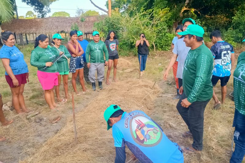 Matéria - Formação de agentes agroflorestais avança na Terra Indígena Alto Rio Guamá com foco em sustentabilidade

Fotos: DGBio/IDEFLOR-Bio/Divulgação


 <div class='credito_fotos'>Foto: ASCOM / IDEFLOR-BIO   |   <a href='/midias/2024/originais/20801_9948331e-e82e-3bd8-309e-23ef2c5dfccd.jpg' download><i class='fa-solid fa-download'></i> Download</a></div>