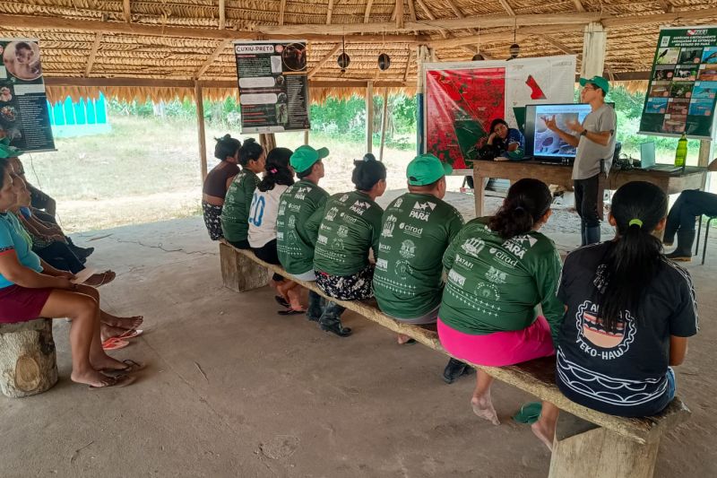 Matéria - Formação de agentes agroflorestais avança na Terra Indígena Alto Rio Guamá com foco em sustentabilidade

Fotos: DGBio/IDEFLOR-Bio/Divulgação


 <div class='credito_fotos'>Foto: ASCOM / IDEFLOR-BIO   |   <a href='/midias/2024/originais/20801_9c68566f-6edf-0928-748e-c9116abd3206.jpg' download><i class='fa-solid fa-download'></i> Download</a></div>