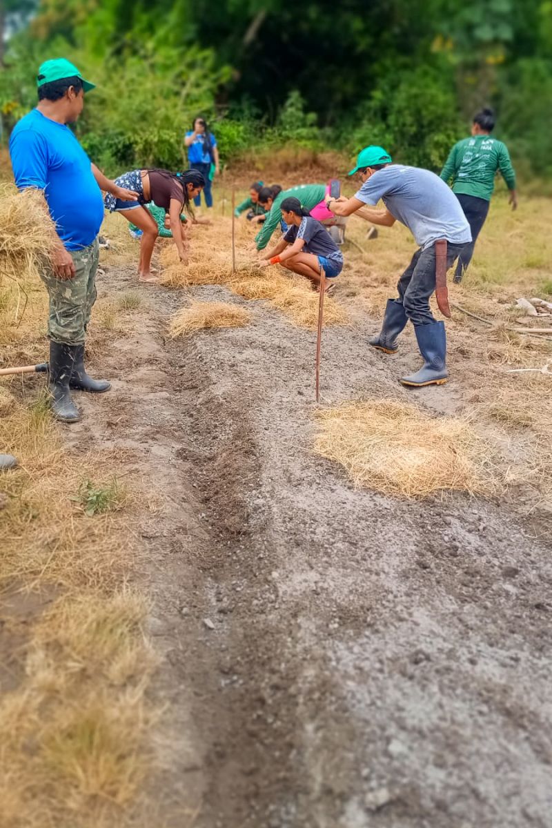 Matéria - Formação de agentes agroflorestais avança na Terra Indígena Alto Rio Guamá com foco em sustentabilidade

Fotos: DGBio/IDEFLOR-Bio/Divulgação


 <div class='credito_fotos'>Foto: ASCOM / IDEFLOR-BIO   |   <a href='/midias/2024/originais/20801_d4e82c96-f2a7-9575-8119-a685b28905cc.jpg' download><i class='fa-solid fa-download'></i> Download</a></div>