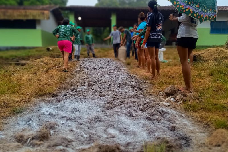 Matéria - Formação de agentes agroflorestais avança na Terra Indígena Alto Rio Guamá com foco em sustentabilidade

Fotos: DGBio/IDEFLOR-Bio/Divulgação


 <div class='credito_fotos'>Foto: ASCOM / IDEFLOR-BIO   |   <a href='/midias/2024/originais/20801_ed8a0423-d060-ba78-082e-8ae6a6f92cbe.jpg' download><i class='fa-solid fa-download'></i> Download</a></div>