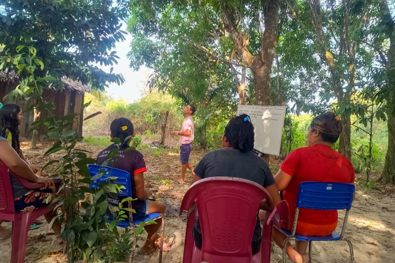 Matéria - Formação de agentes agroflorestais avança na Terra Indígena Alto Rio Guamá com foco em sustentabilidade

Fotos: DGBio/IDEFLOR-Bio/Divulgação


 <div class='credito_fotos'>Foto: ASCOM / IDEFLOR-BIO   |   <a href='/midias/2024/originais/20801_f6fb4484-9f1e-2ebb-c96e-4d51393312b8.jpg' download><i class='fa-solid fa-download'></i> Download</a></div>