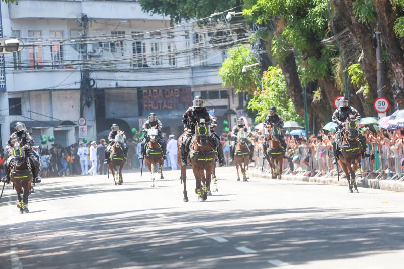  <div class='credito_fotos'>Foto: Bruno Cruz / Agência Pará   |   <a href='/midias/2024/originais/20828_b4f195fa-da5e-d18c-c5d1-8d5e0592521e.jpg' download><i class='fa-solid fa-download'></i> Download</a></div>