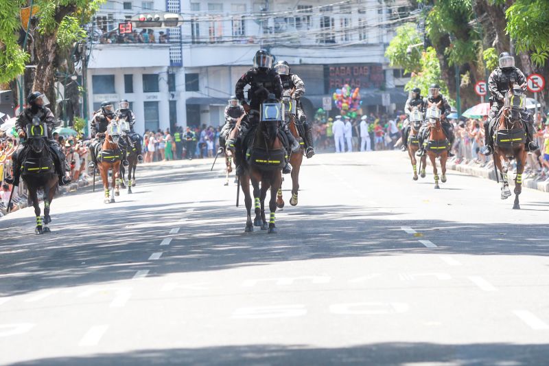  <div class='credito_fotos'>Foto: Bruno Cruz / Agência Pará   |   <a href='/midias/2024/originais/20828_bc9217b1-e7dd-9132-0d0c-46e191c8a153.jpg' download><i class='fa-solid fa-download'></i> Download</a></div>